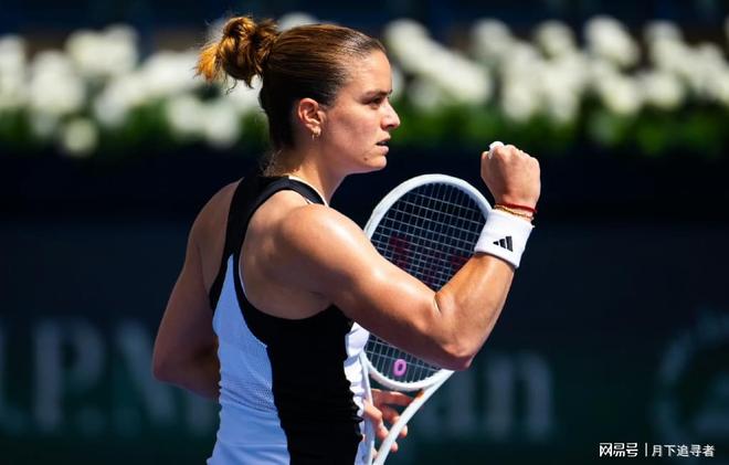 丹麦组合的 丹麦组合的